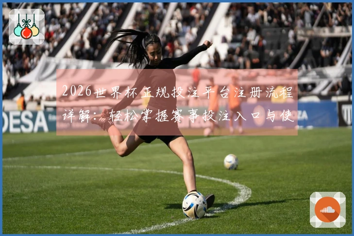 2026世界杯正规投注平台注册流程详解：轻松掌握赛事投注入口与使用体验