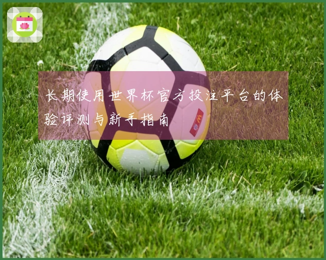 长期使用世界杯官方投注平台的体验评测与新手指南