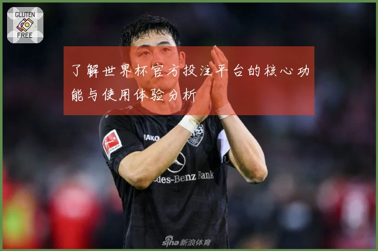 了解世界杯官方投注平台的核心功能与使用体验分析