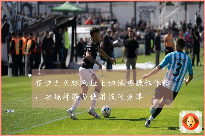 在沙巴买球网址上的流畅操作体验，功能详解与使用技巧分享