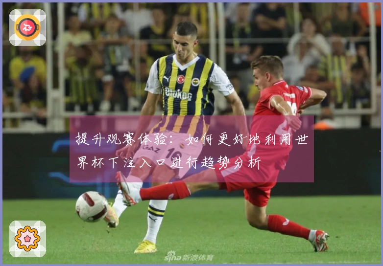 提升观赛体验：如何更好地利用世界杯下注入口进行趋势分析